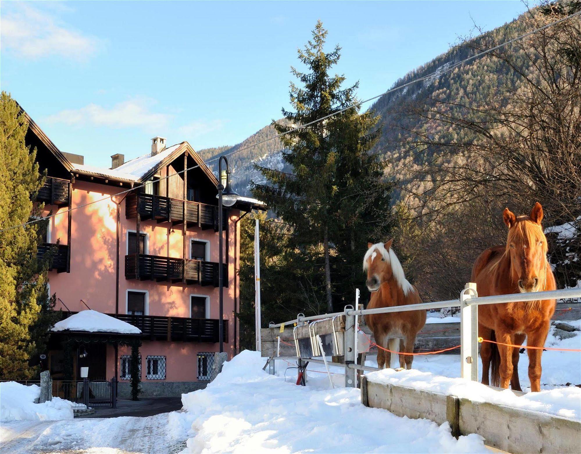 Park Hotel Bellevue Dimaro Exterior photo